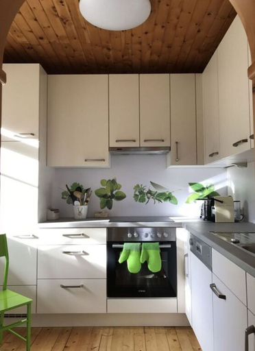 Private kitchen, The Karl Anton Hutte, Klagenfurt Land