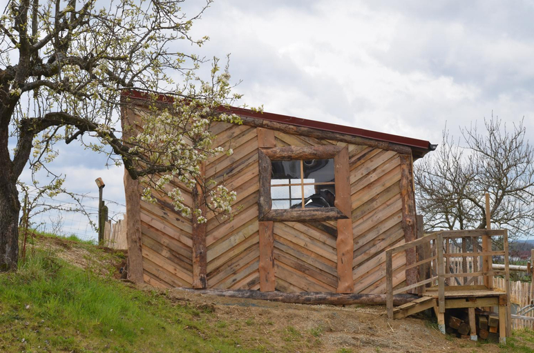 Exterior & Views