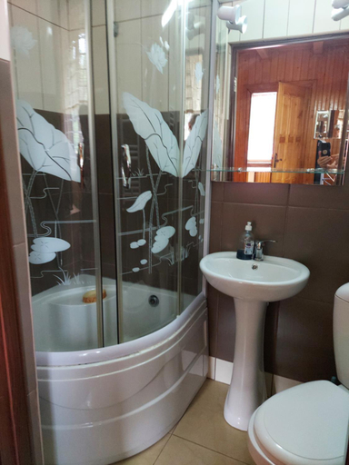 Bathroom 2, Pensiune Casa Barcaru, Azuga