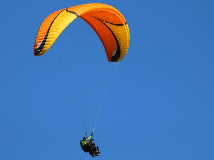 Attractions 5, Montegrappa Fly on, Treviso