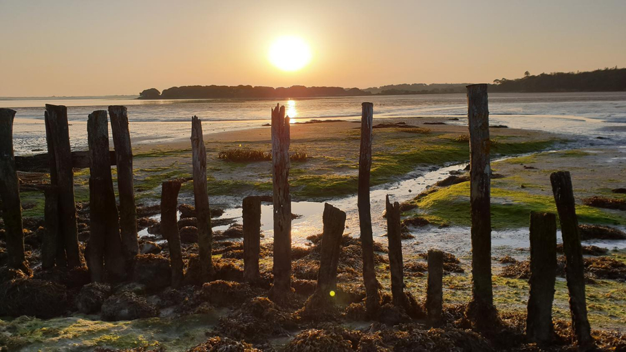 Others 5, AMARRE Chambres d'Hotes, Morbihan