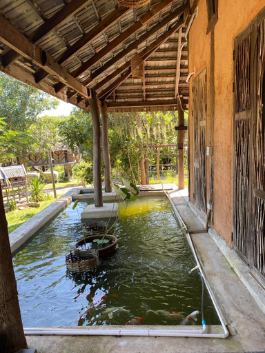 Sport & Beauty 2, MonSamKien Farmstay, Muang Phayao
