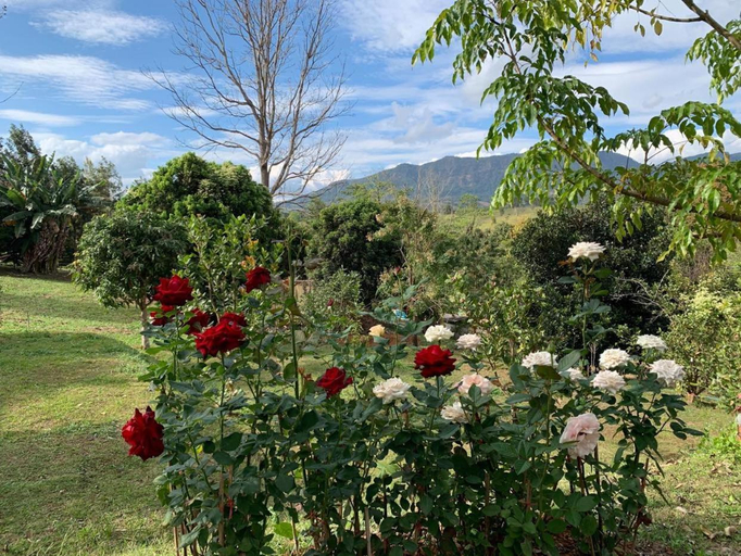 Scenery 12