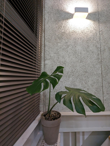 Others 5, Kun living, Taitung