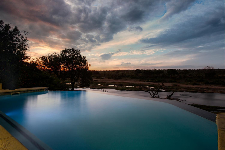 Sport & Beauty 2, Buffalo Brooke - Mjejane Game Reserve, Ehlanzeni