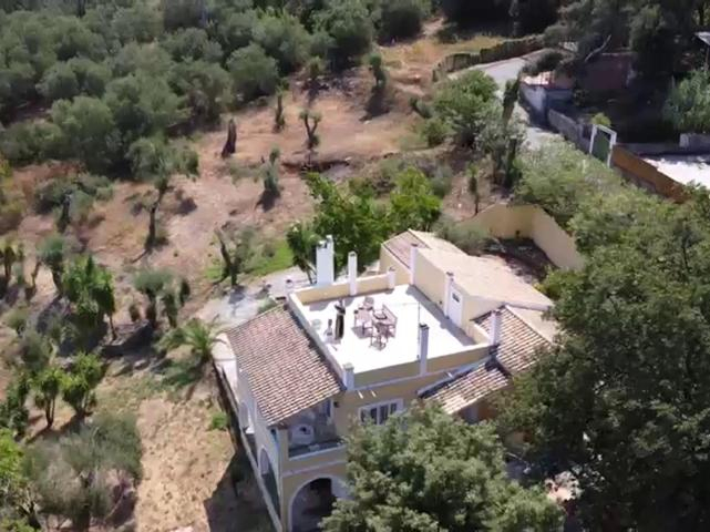 4, Olea Home, Ionian Islands