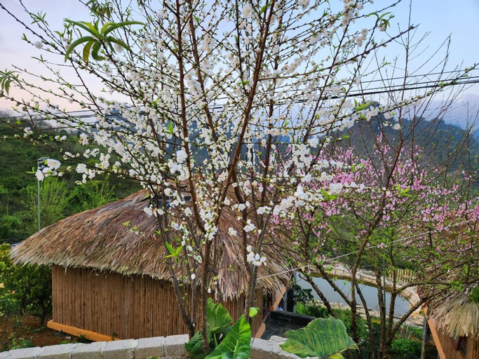 Scenery 16