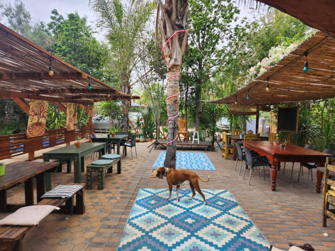 Food & Drinks 4, Karoozin Village, Eden