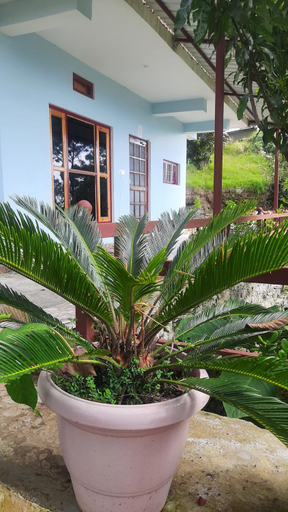 Others 5, Nanda View Cottage, Almora