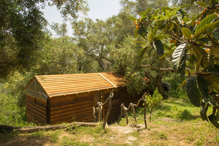 Others 4, Pelekas Olive Grove Oasis Room No4, Ionian Islands