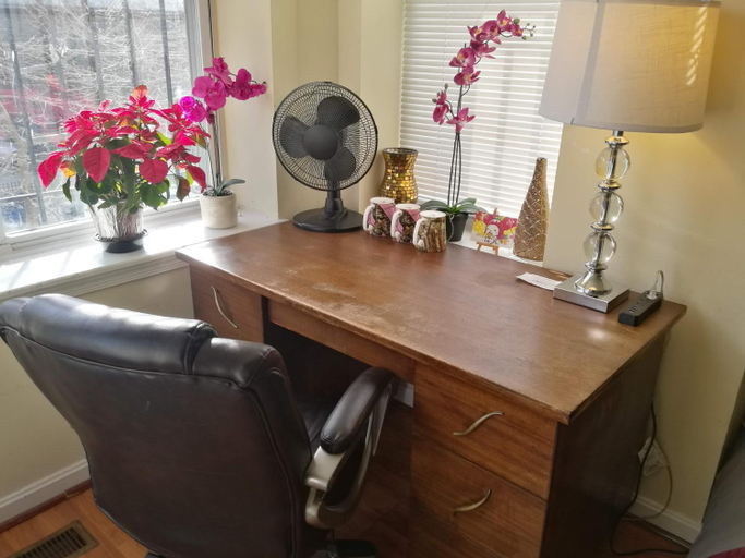 Others 4, Most Economical Room in Center Washington DC, Washington D.C.