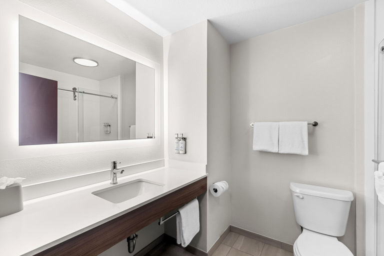 Bathroom 5, Holiday Inn Express & Suites AUSTIN SW - SUNSET VALLEY by IHG, Travis