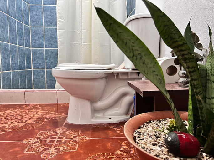 Bathroom 2, Natural Experience House, Pococí