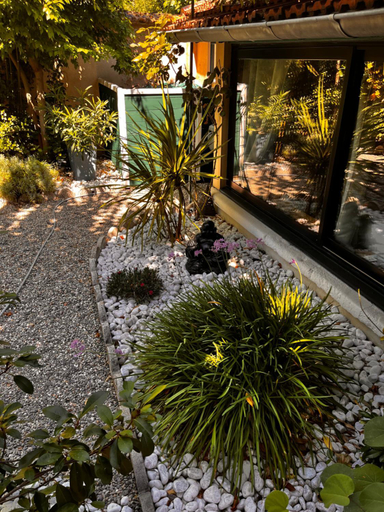 Scenery 6