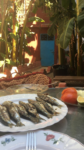 Others 3, Dar El Pirata Hostel, Tanger-Assilah