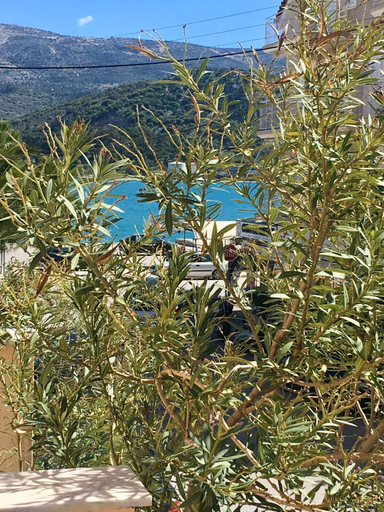 5, Filippos Apartments, Ionian Islands