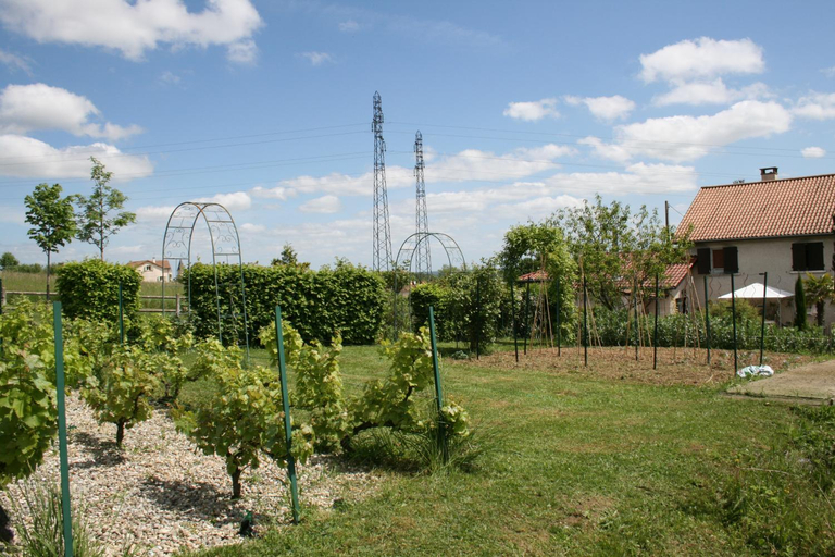 Scenery 10