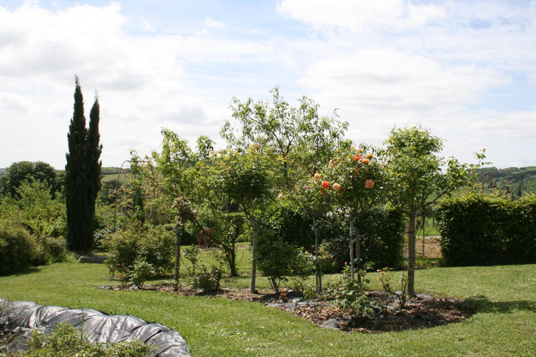 Scenery 12