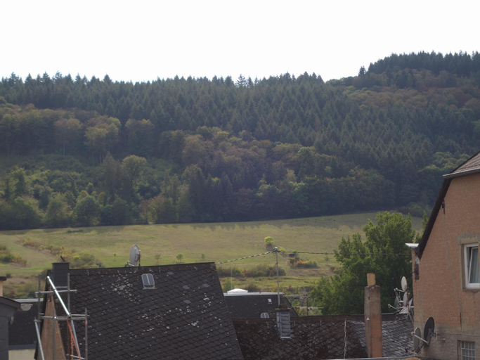 Mosea, Bernkastel-Wittlich