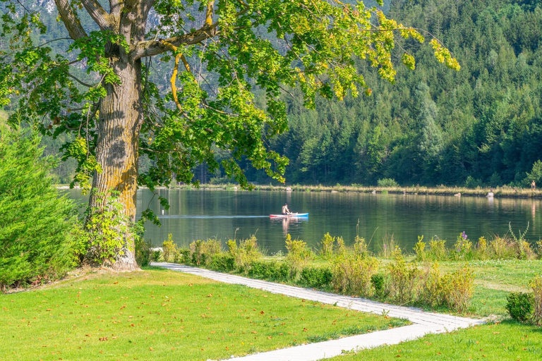 Food & Drinks 4, CHALET am Schneebergsee, Neunkirchen