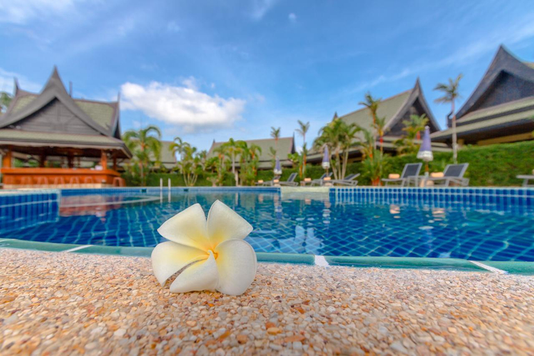 Swimming Pool 2