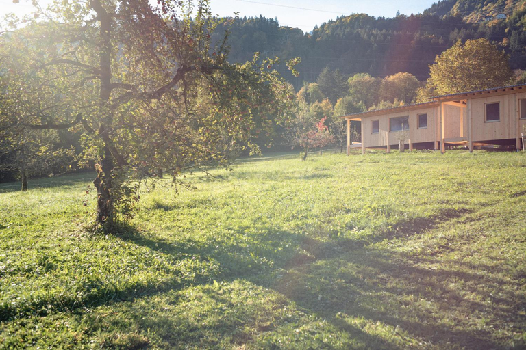 Others 3, Pinjola, Bludenz