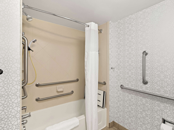 Bathroom 4, Hampton Inn Blytheville, Mississippi