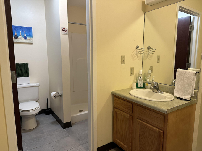 Bathroom 5, Cozy Convenient Downtown Apt Walk Everywhere, Allegheny