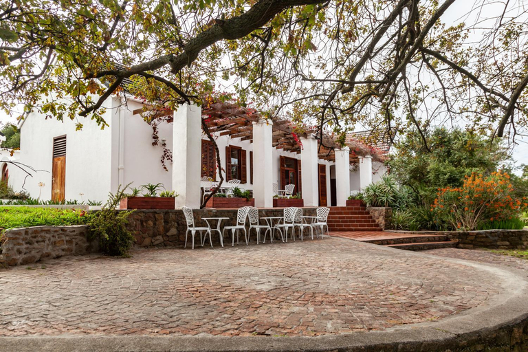 Others 5, Ayama Wine Farm - Manor House, Cape Winelands