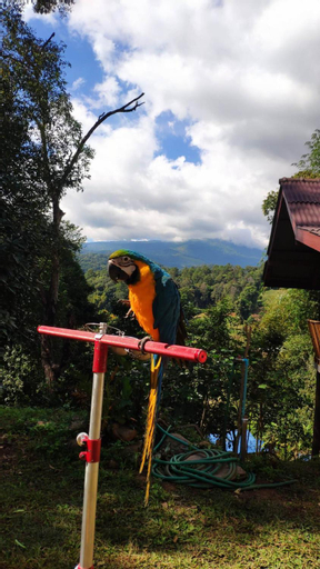 Others 3, PeaMoo Homestay, Chom Thong