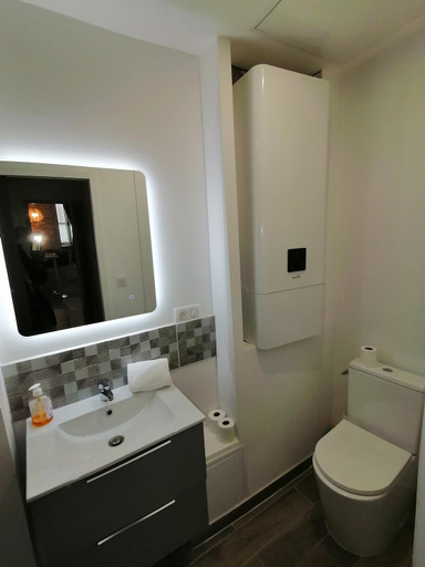 Bathroom 1, LE VIEUX LAVAL, Mayenne