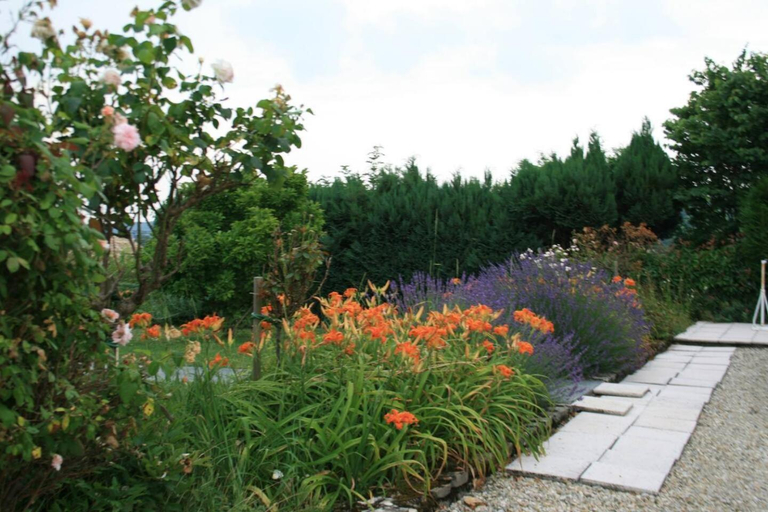 Scenery 8