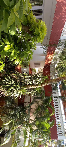 Others 5, Daphne Hotel, Kancheepuram