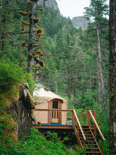 Shearwater Cove, Kenai Peninsula