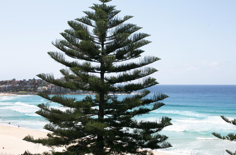 Scenery 18