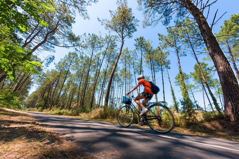 Sports and activities, Mobilhome Labenne Ocean, Landes