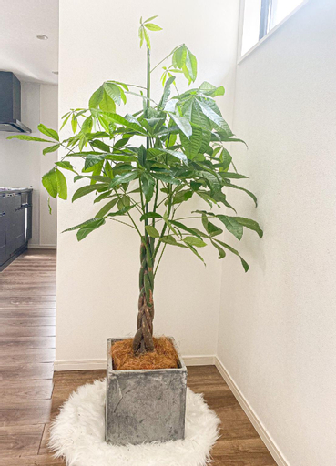 Shinchiku design house - Vacation STAY 15468, Ranzan