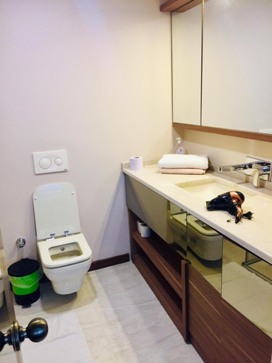 Bathroom 3, New Falcon Palas, Pendik