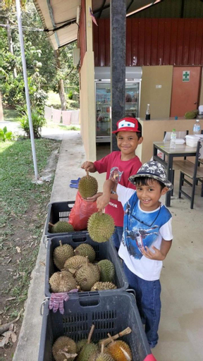 Others 5, Rasa Durio Eco Glampz, Hulu Selangor