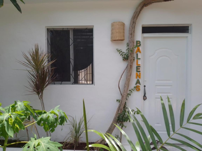 Others 4, NEW MORINGA, Las Terrenas
