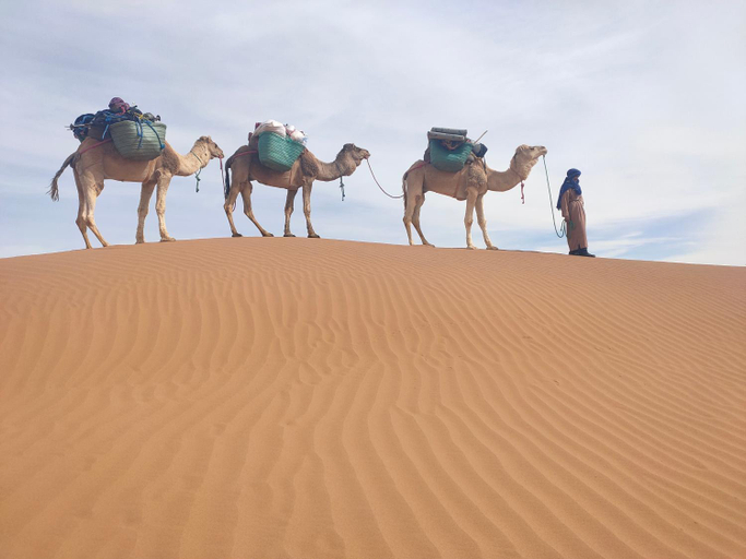 Others 5, La Maison-Berbere Mhamid Desert Tours, Ouarzazate
