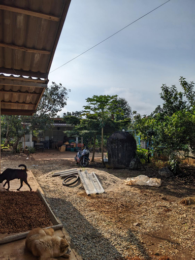 Others 4, High Plain Coffee & Homestay, Chiang Dao