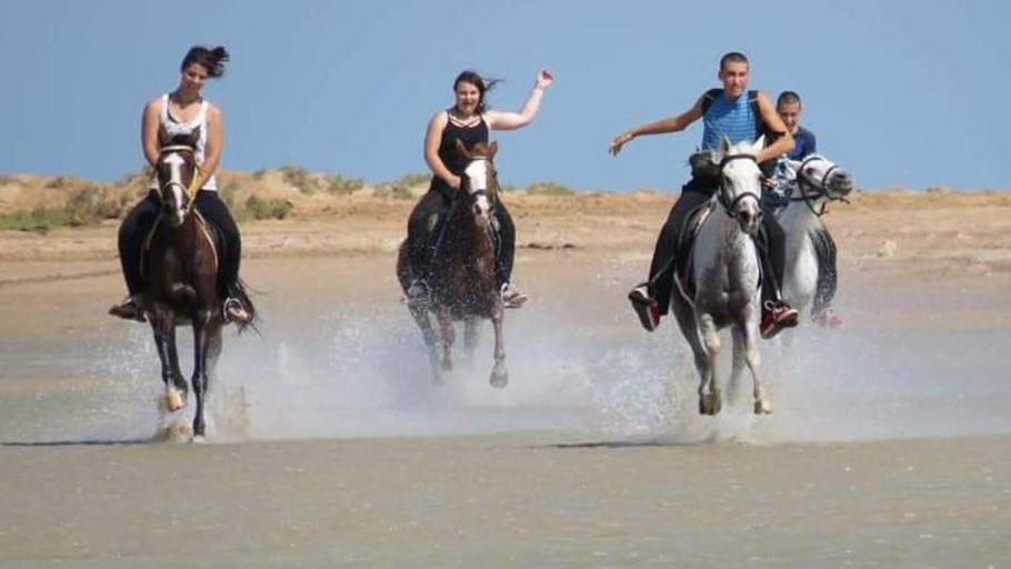 Horseback riding 5, Royal Beach Resort, Hurghada, Al-Ghurdaqah
