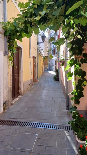 Others 5, TRE SORELLE, Piran