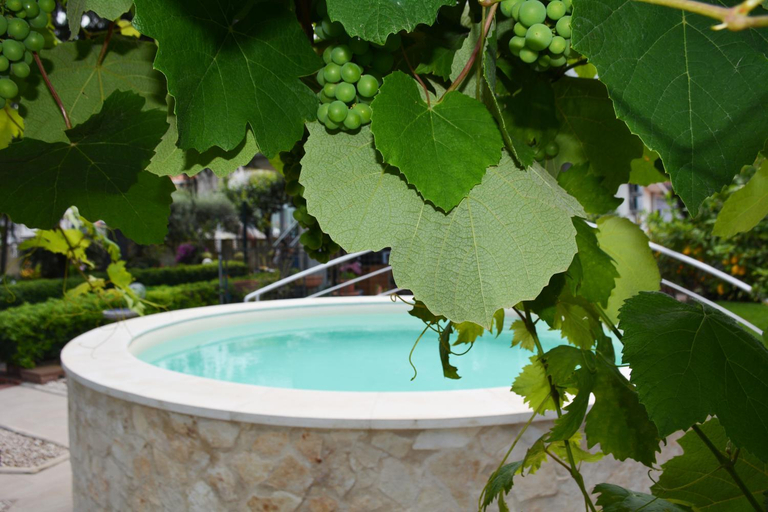Sport & Beauty 2, Triskelion, Catania