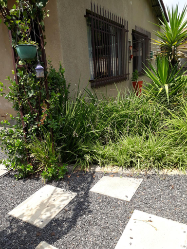 Others 4, LISANE ACCOMMODATION, Nkangala