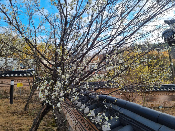 Others 2, Cheongbaek Hanok Pension, Jangseong