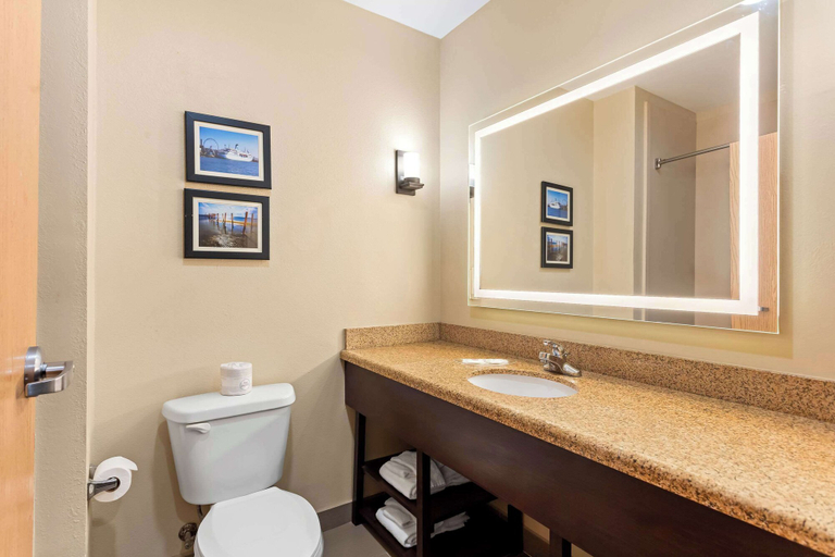 Bathroom 3, Comfort Suites Gulfport Central, Harrison