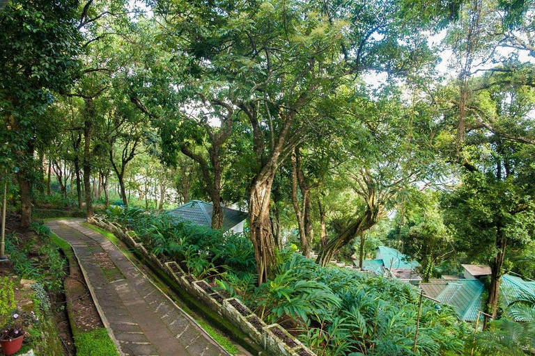 Others 4, Great Escapes Resorts, Idukki