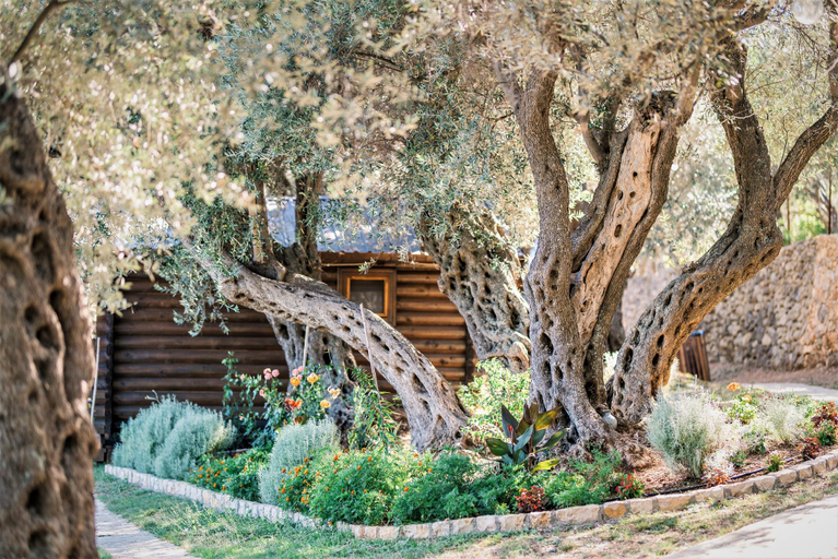 Others 5, Holiday Park Olive Tree